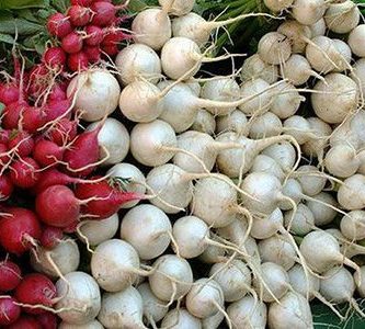 Ejemplos de tuberculos