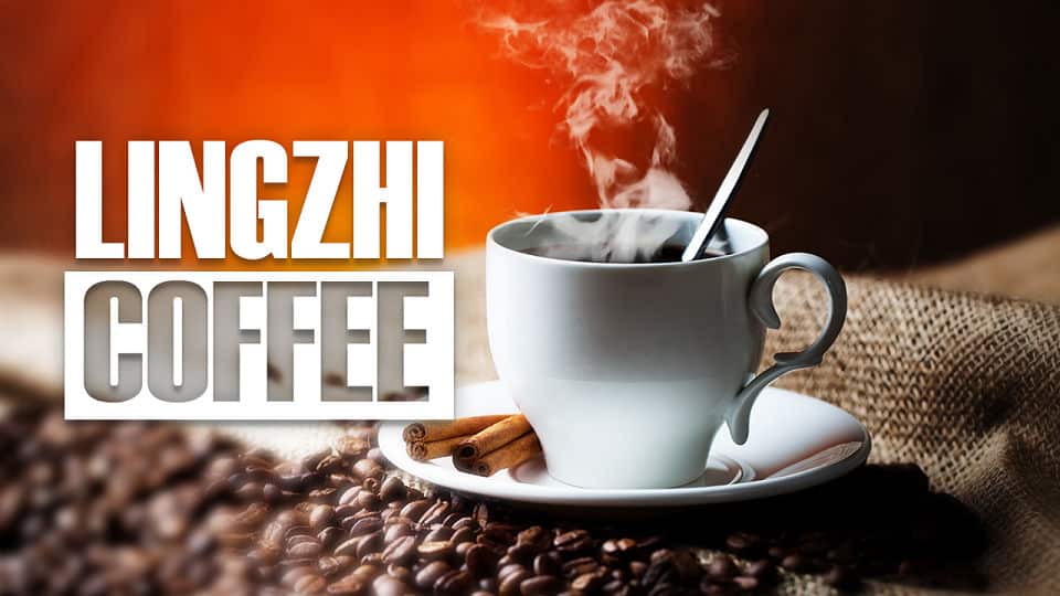 para que sirve el lingzhi coffee