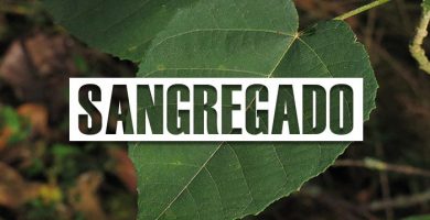 Para que sirve el sangregado