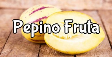 propiedades del pepino fruta